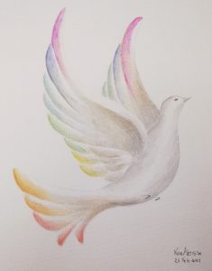 Colomba 5 anni – Eleonora Vittorini